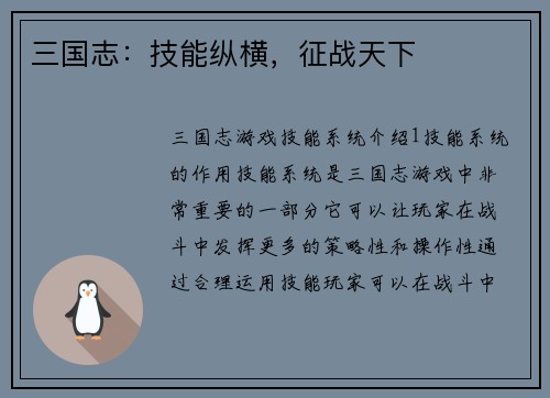 三国志：技能纵横，征战天下
